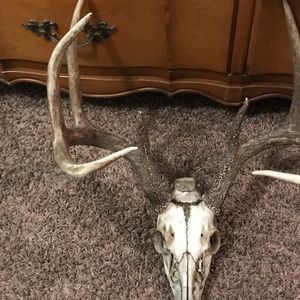 Meet your Posher, Luke